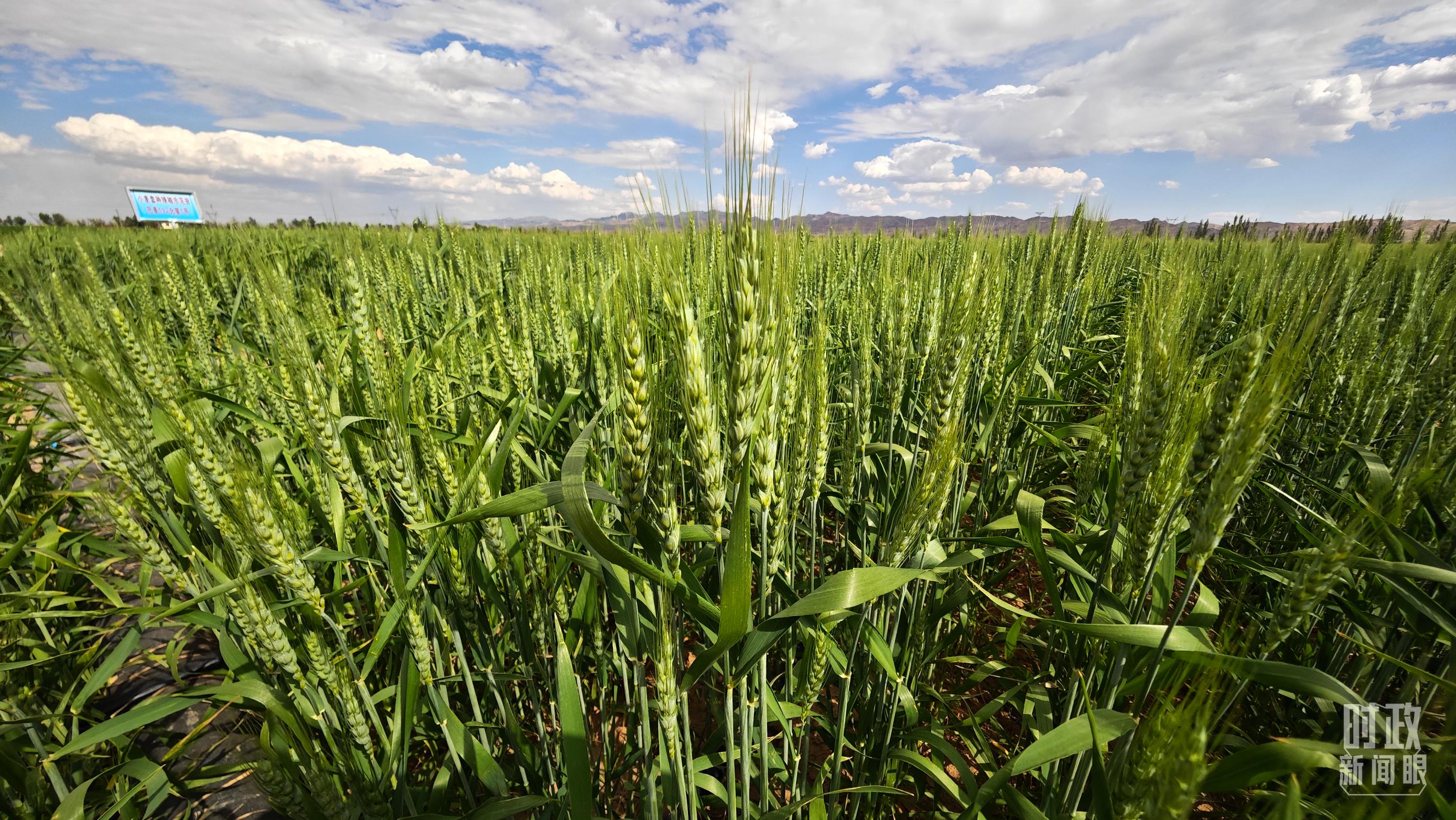 
浙江口腔医院黄牛代挂号电话票贩子号贩子网上预约挂号,住院检查加快,时政新闻眼丨习近平在内蒙古考察，这些话语令人深思