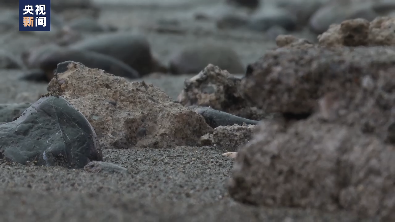 
包含北京大学第一医院黄牛代挂号电话票贩子号贩子网上预约挂号,住院检查加快,日本学者：核污染水排海计划成本最低却危害深远