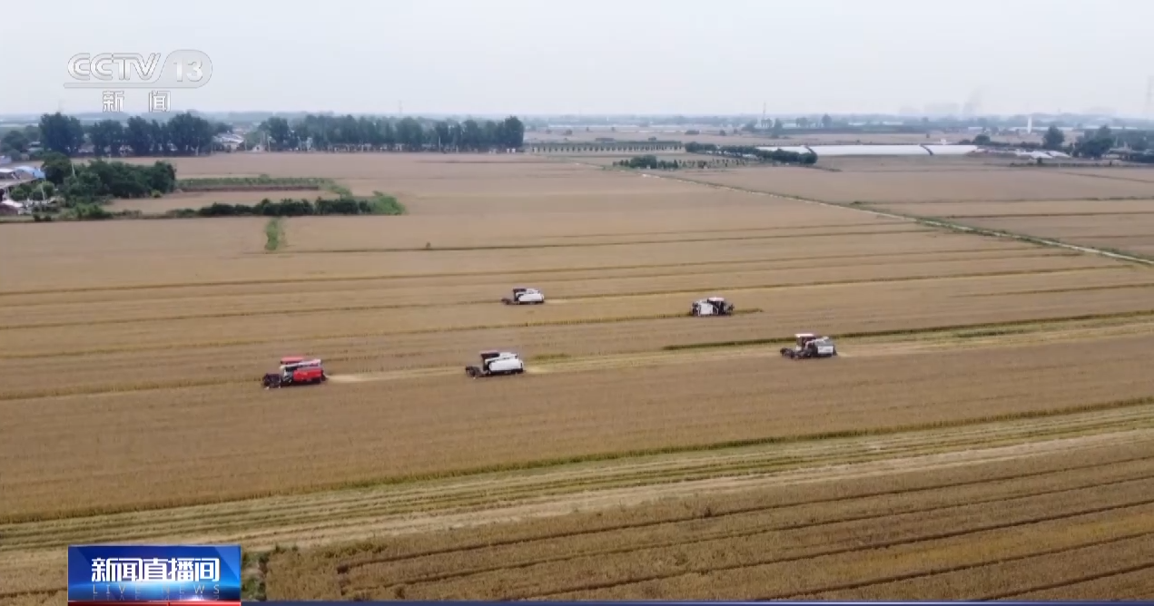 
浙江第二医院黄牛代挂号电话票贩子号贩子网上预约挂号,住院检查加快,晾晒、除杂、昼夜抢收……各地多举措确保小麦颗粒归仓