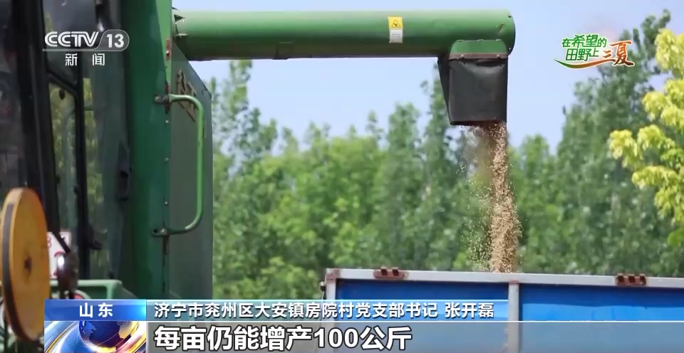 
广州市妇女儿童医疗中心黄牛代挂号电话票贩子号贩子网上预约挂号,住院检查加快,全国收获冬小麦面积超1.8亿亩 收播方式“新上加新”！