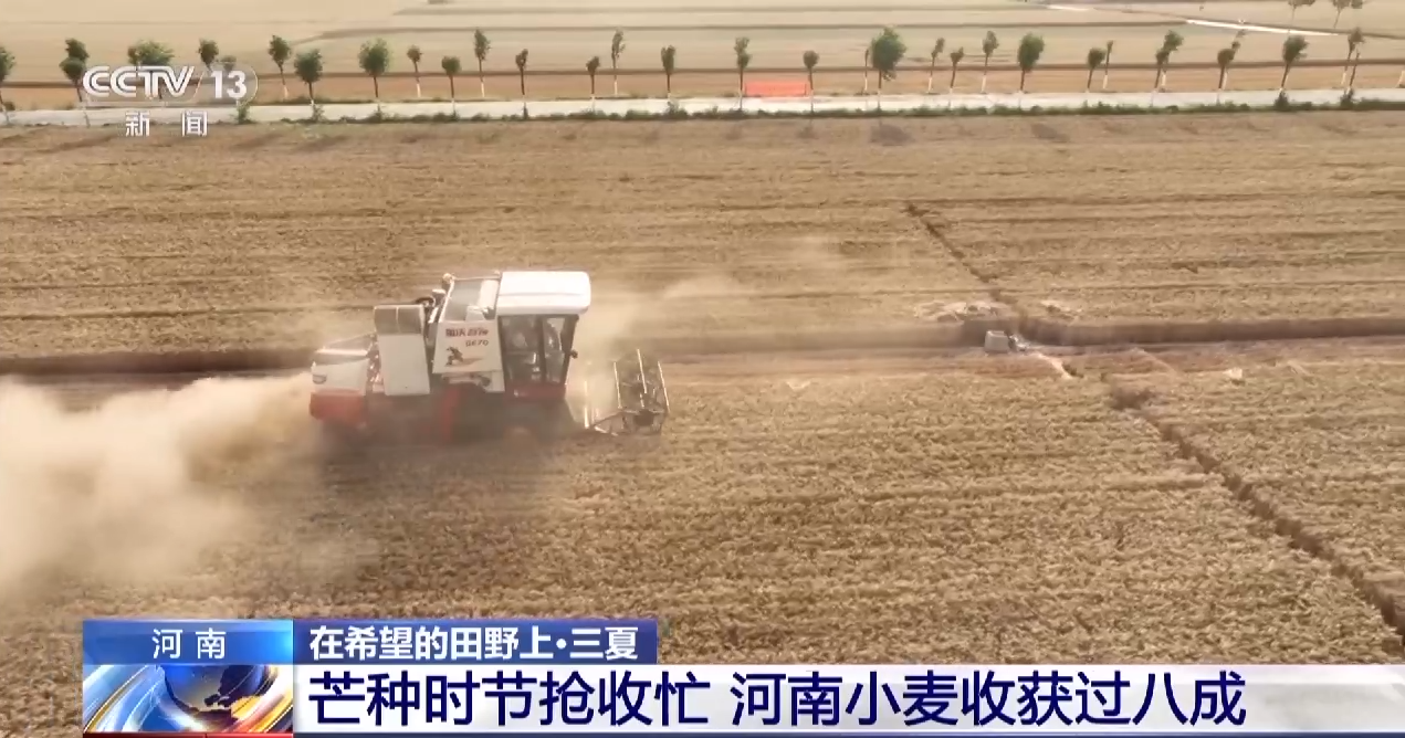 
浙江第二医院黄牛代挂号电话票贩子号贩子网上预约挂号,住院检查加快,晾晒、除杂、昼夜抢收……各地多举措确保小麦颗粒归仓