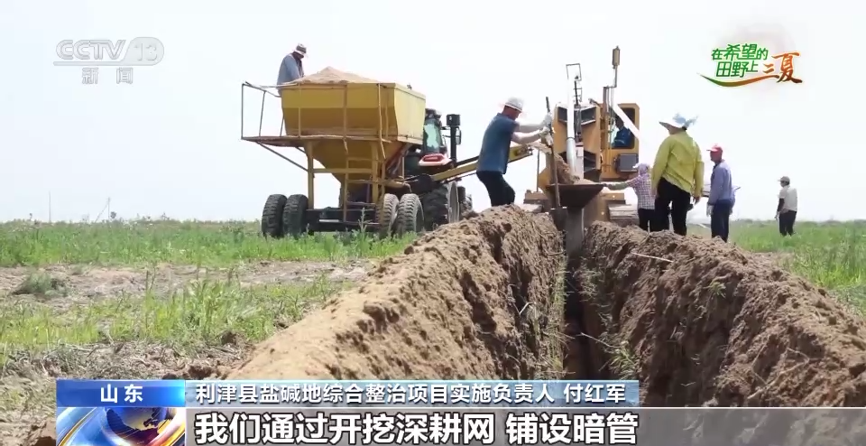 
北京安定医院黄牛代挂号电话票贩子号贩子网上预约挂号,住院检查加快,全国收获冬小麦面积超1.8亿亩 收播方式“新上加新”！