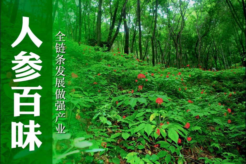 
长沙各大医院黄牛代挂号电话票贩子号贩子网上预约挂号,住院检查加快,读懂东北｜味道东北，产业振兴里的新动能