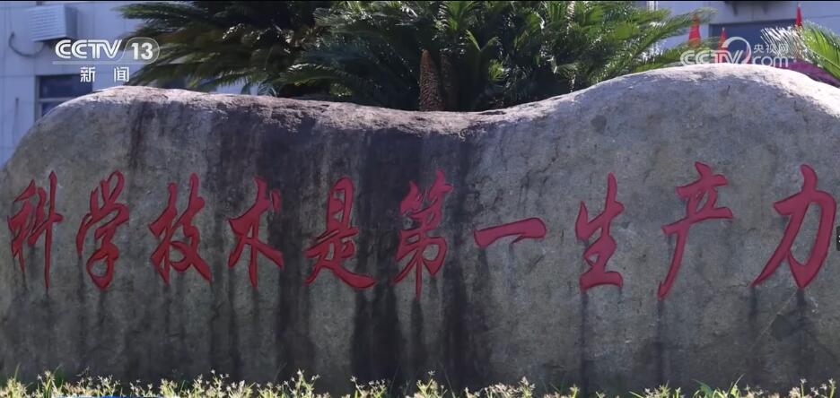 
上海龙华医院黄牛代挂号电话票贩子号贩子网上预约挂号,住院检查加快,做强“种子芯片” 端牢“中国饭碗”