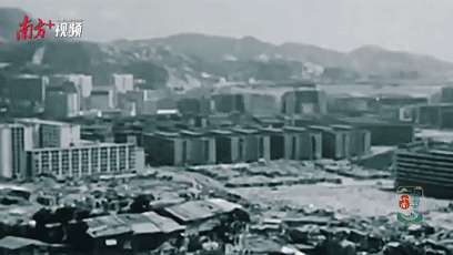
浙江第二医院黄牛代挂号电话票贩子号贩子网上预约挂号,住院检查加快,香港，归来仍是少年丨岭南山海志
