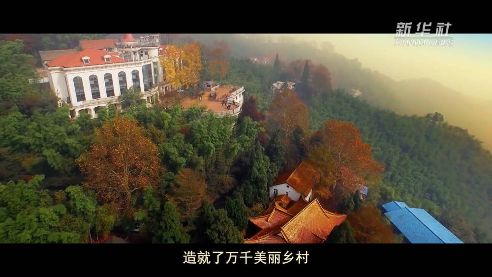 
上海胸科医院黄牛代挂号电话票贩子号贩子网上预约挂号,住院检查加快,绿水青山的回响（上）