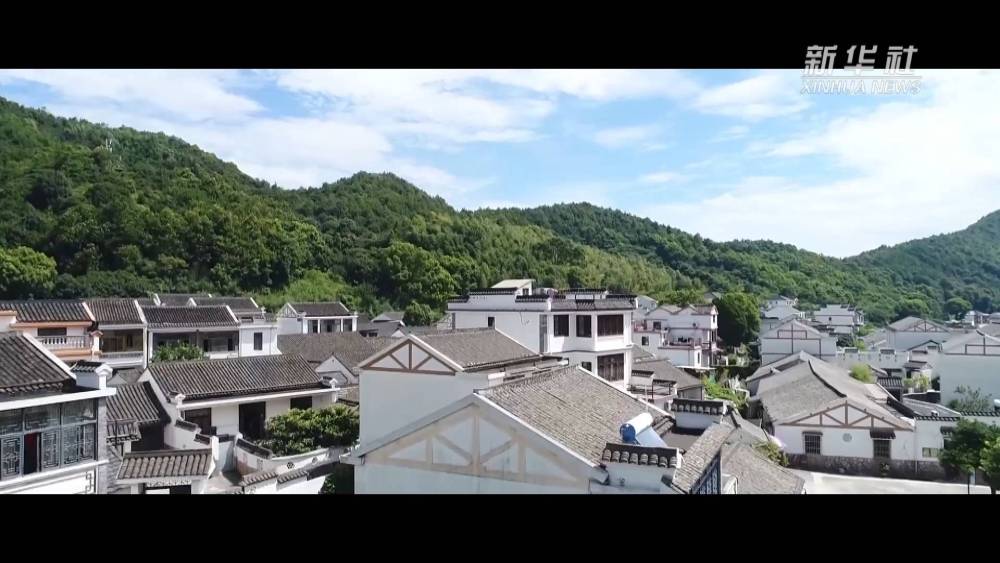 
上海胸科医院黄牛代挂号电话票贩子号贩子网上预约挂号,住院检查加快,绿水青山的回响（上）