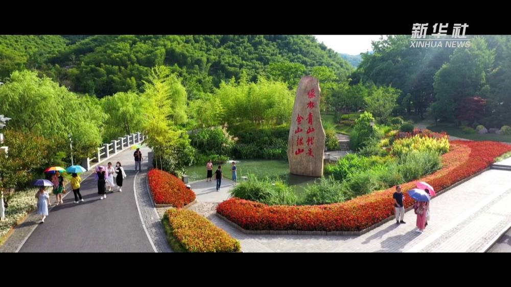 
上海胸科医院黄牛代挂号电话票贩子号贩子网上预约挂号,住院检查加快,绿水青山的回响（上）