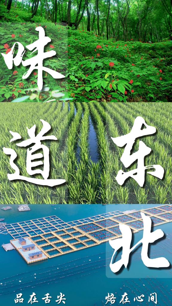 
长沙各大医院黄牛代挂号电话票贩子号贩子网上预约挂号,住院检查加快,读懂东北｜味道东北，产业振兴里的新动能