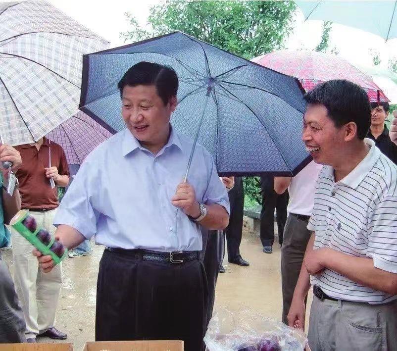 
西安西京医院黄牛代挂号电话票贩子号贩子网上预约挂号,住院检查加快,时政微观察丨“八八战略”久久为功