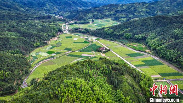 
天津各大医院黄牛代挂号电话票贩子号贩子网上预约挂号,住院检查加快,（高质量发展调研行）福建三明：践行“青山绿水是无价之宝”理念 推进生态文明建设
