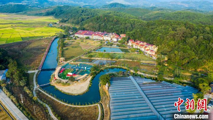 
天津各大医院黄牛代挂号电话票贩子号贩子网上预约挂号,住院检查加快,（高质量发展调研行）福建三明：践行“青山绿水是无价之宝”理念 推进生态文明建设