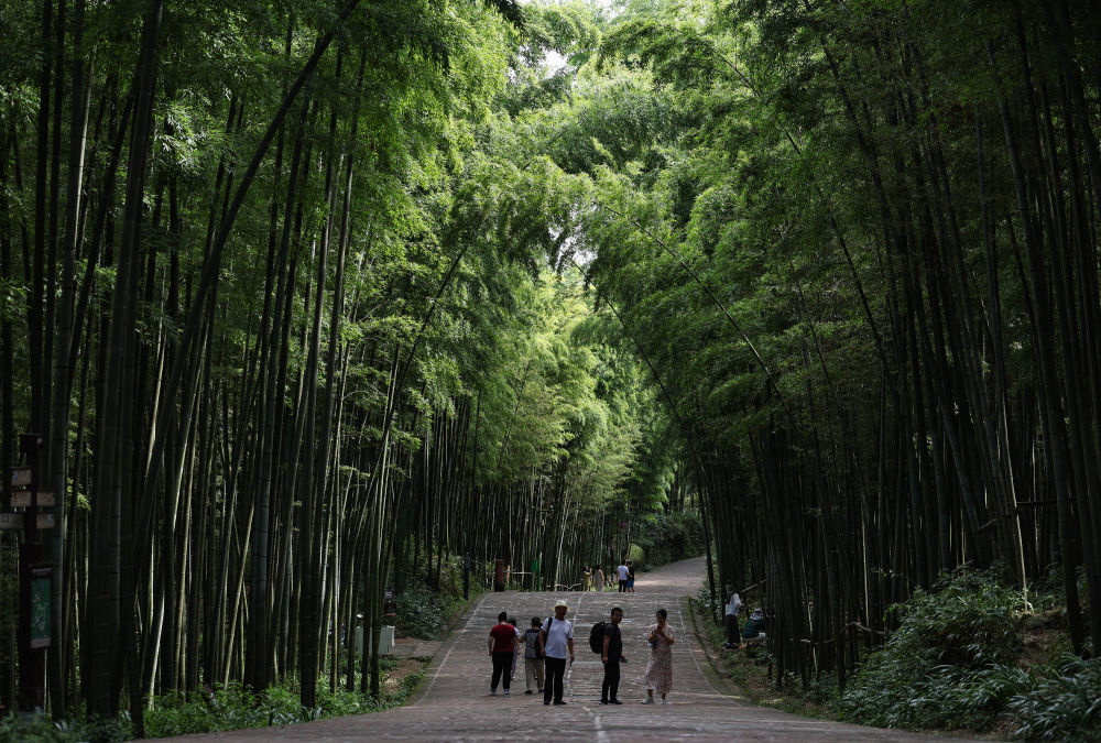 
二龙路肛肠医院黄牛代挂号电话票贩子号贩子网上预约挂号,住院检查加快,新时代中国调研行·长江篇丨“绿动”宜宾——万里长江第一城