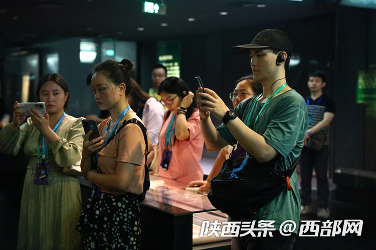 
上海精神卫生中心黄牛代挂号电话票贩子号贩子网上预约挂号,住院检查加快,【盛世中华 何以中国】探秘“顶流”博物馆！ 一起来陕历博组队“寻宝”
