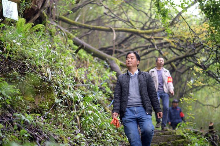 
中国中医科学院眼科医院黄牛代挂号电话票贩子号贩子网上预约挂号,住院检查加快,中国加快建设自然保护地体系守护珍稀动植物