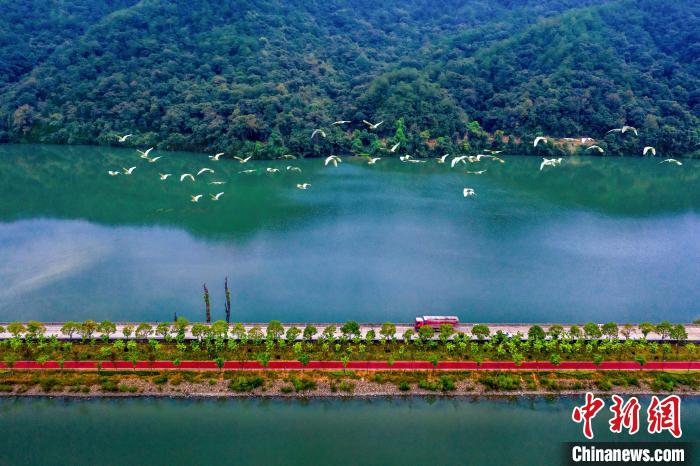
天津各大医院黄牛代挂号电话票贩子号贩子网上预约挂号,住院检查加快,（高质量发展调研行）福建三明：践行“青山绿水是无价之宝”理念 推进生态文明建设