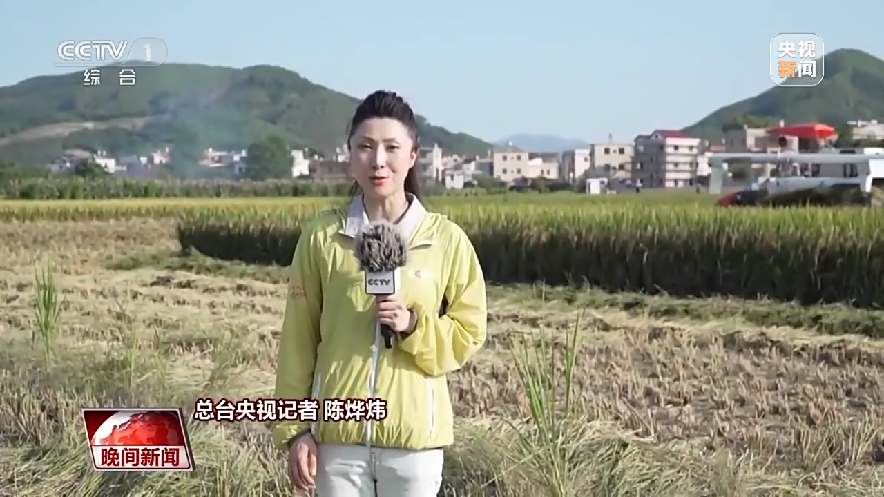 
上海儿童医学中心黄牛代挂号电话票贩子号贩子网上预约挂号,住院检查加快,全国早稻收获过一成半 进度快于上年