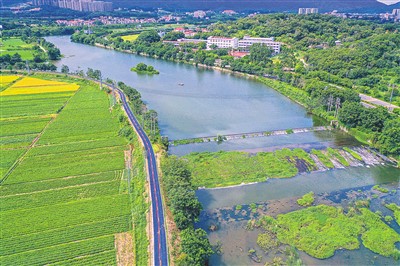 
上海儿童医学中心黄牛代挂号电话票贩子号贩子网上预约挂号,住院检查加快,泉州惠安：水清景美（侨乡新貌）