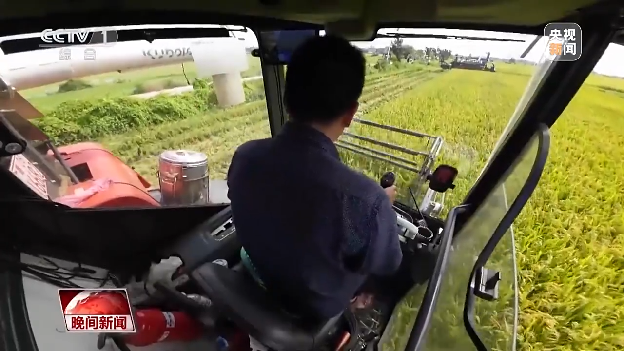 
上海儿童医学中心黄牛代挂号电话票贩子号贩子网上预约挂号,住院检查加快,全国早稻收获过一成半 进度快于上年