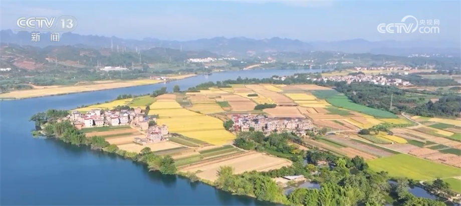 
北京广安门中医院黄牛代挂号电话票贩子号贩子网上预约挂号,住院检查加快,抢收早稻+抢种秋冬菜 轮作种植模式提升经济效益
