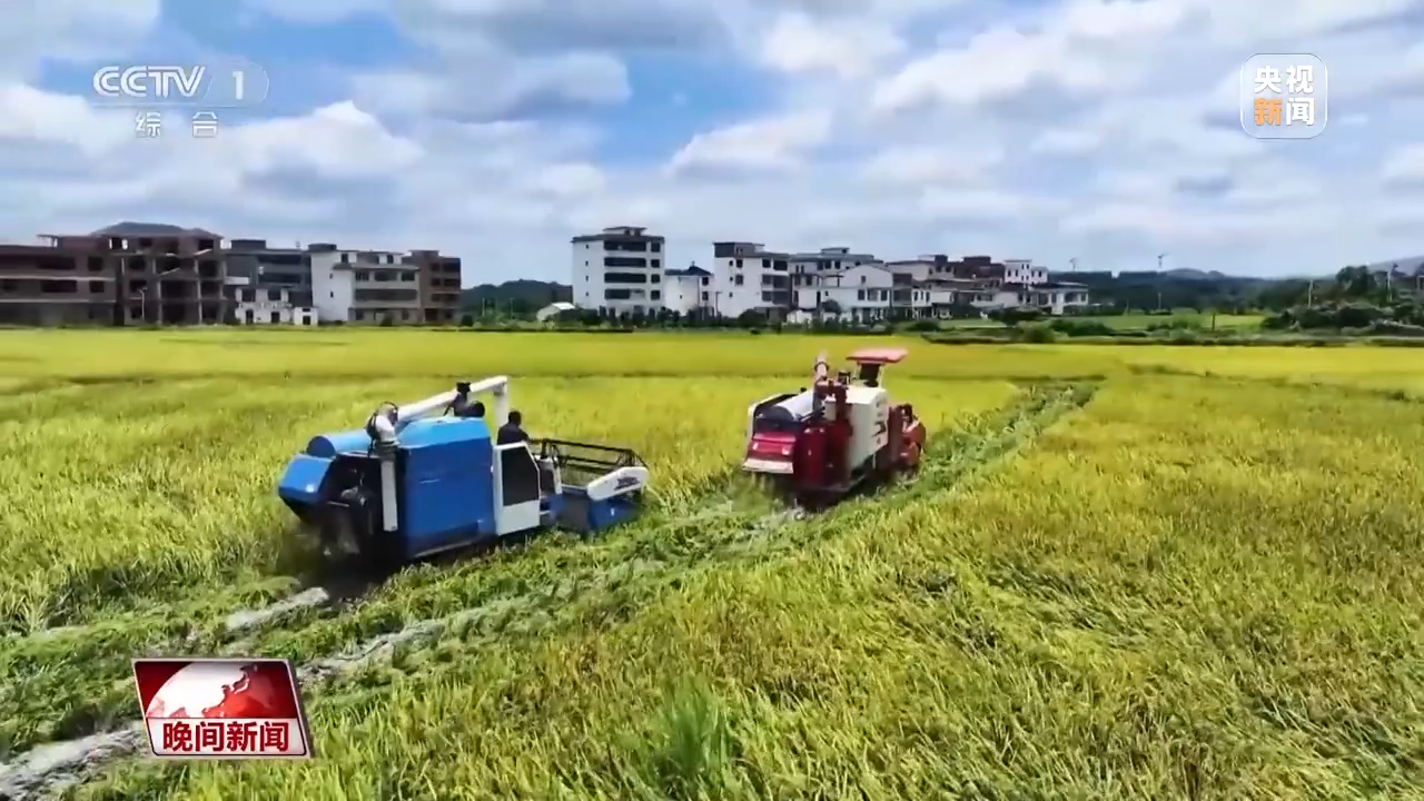 
上海儿童医学中心黄牛代挂号电话票贩子号贩子网上预约挂号,住院检查加快,全国早稻收获过一成半 进度快于上年