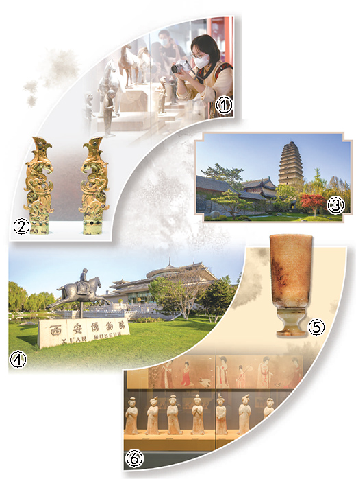 
广州中山一院黄牛代挂号电话票贩子号贩子网上预约挂号,住院检查加快,“一个博物院就是一所大学校”