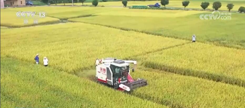 
南京市口腔医院黄牛代挂号电话票贩子号贩子网上预约挂号,住院检查加快,风吹稻浪谷飘香 各地紧抓农时奏响“丰收曲”