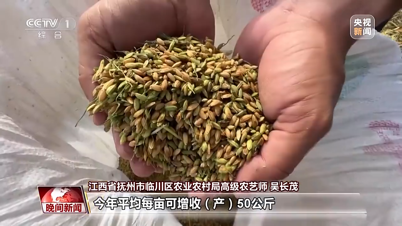 
上海儿童医学中心黄牛代挂号电话票贩子号贩子网上预约挂号,住院检查加快,全国早稻收获过一成半 进度快于上年