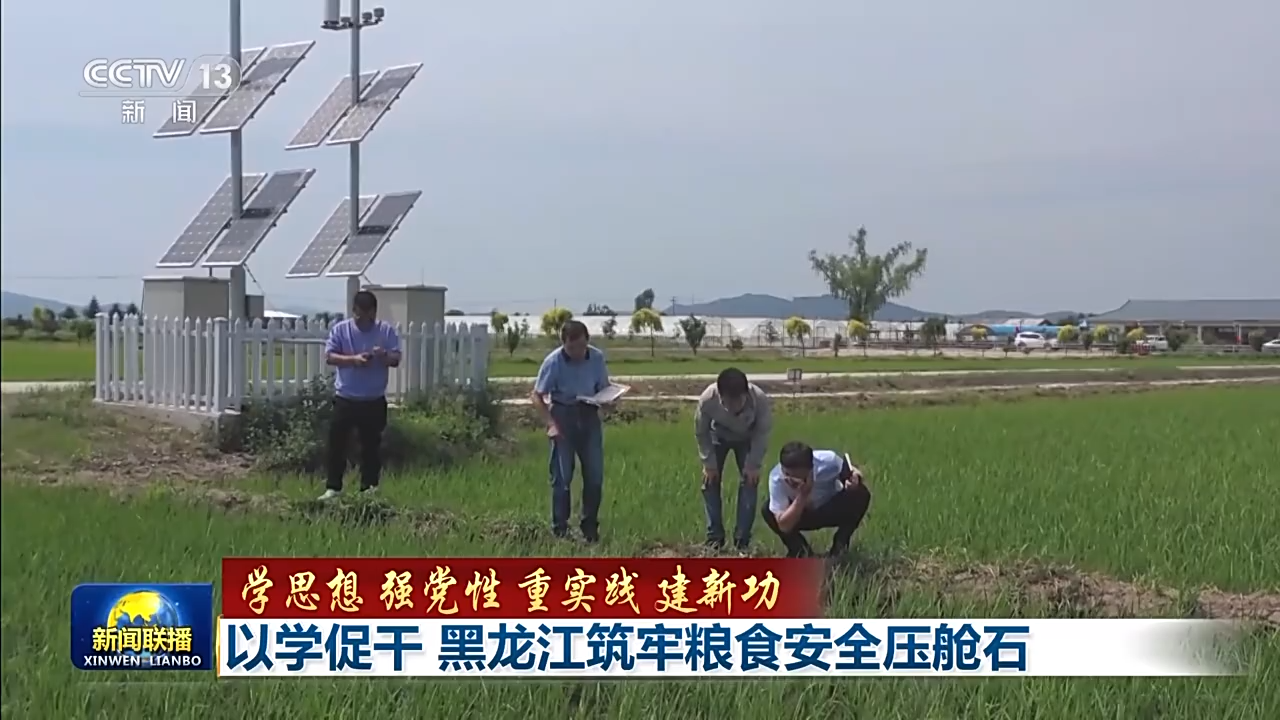 
上海仁济医院黄牛代挂号电话票贩子号贩子网上预约挂号,住院检查加快,以学促干！黑龙江筑牢粮食安全压舱石