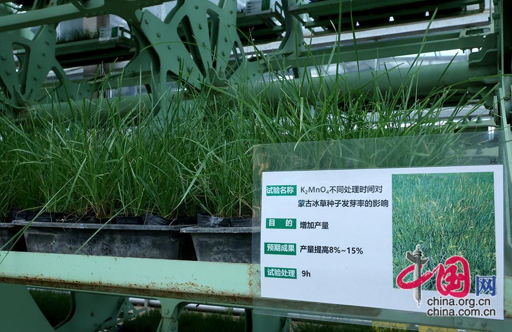 
江苏省中医院黄牛代挂号电话票贩子号贩子网上预约挂号,住院检查加快,中国有约｜​敕勒川草原焕新颜 生态“数智”变富民“药方”