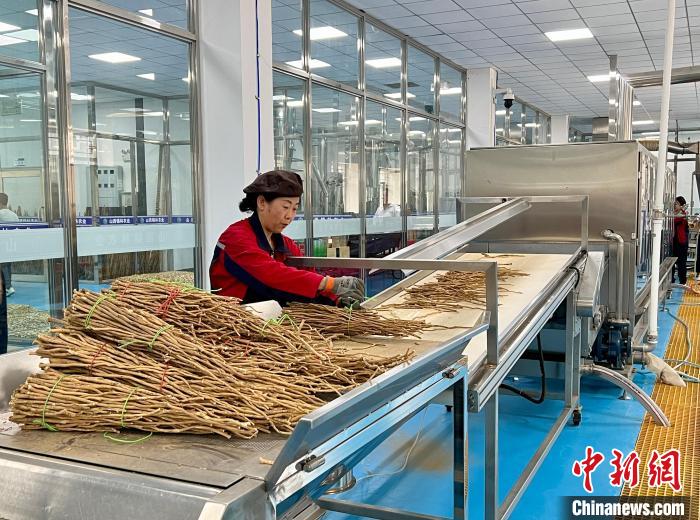 
广东省人民医院黄牛代挂号电话票贩子号贩子网上预约挂号,住院检查加快,山西青年返乡创业：黄芪种植铺就农民增收路