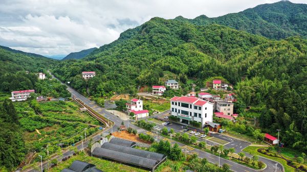 
中国人民解放军总医院黄牛代挂号电话票贩子号贩子网上预约挂号,住院检查加快,【大国新村：沿着总书记的足迹】福建武平：“林改第一县”的绿色振兴