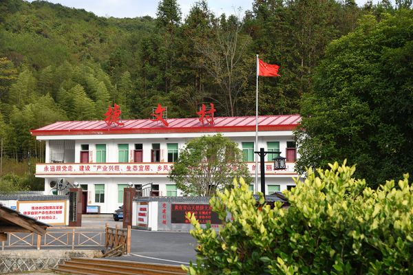
中国人民解放军总医院黄牛代挂号电话票贩子号贩子网上预约挂号,住院检查加快,【大国新村：沿着总书记的足迹】福建武平：“林改第一县”的绿色振兴