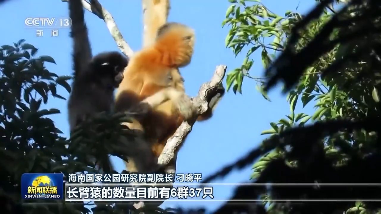 
广州中山眼科医院黄牛代挂号电话票贩子号贩子网上预约挂号,住院检查加快,中国如何创造举世瞩目的生态奇迹和绿色发展奇迹？答案在这里