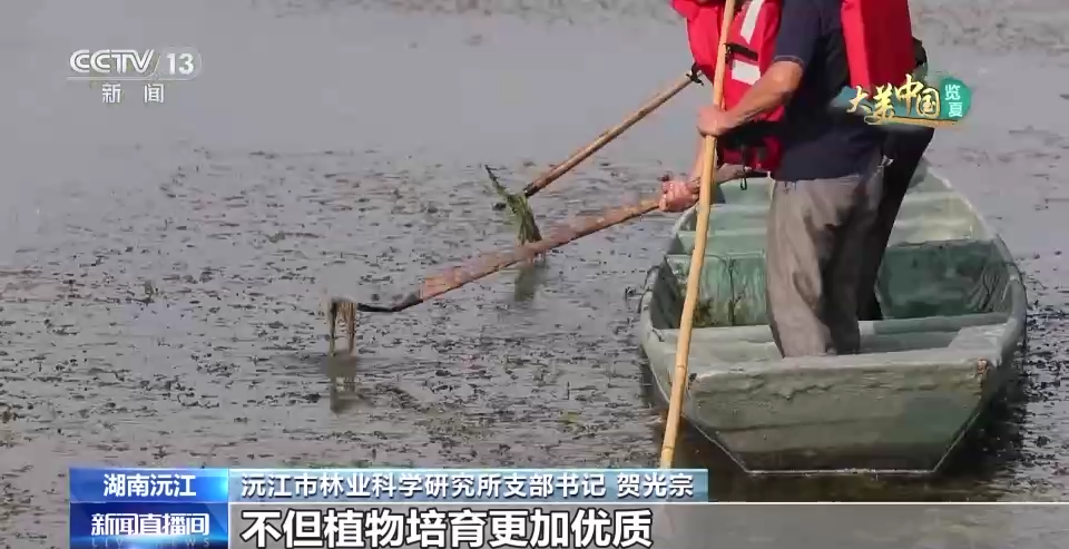 
首都医科大学附属天坛医院黄牛代挂号电话票贩子号贩子网上预约挂号,住院检查加快,这里为何被誉为“候鸟天堂”？走进洞庭湖湿地的鹭鸟巢区