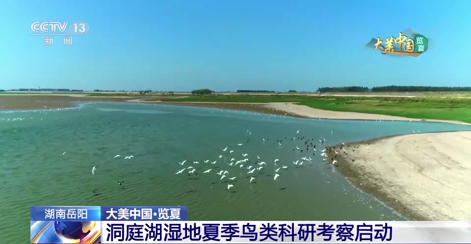 
首都医科大学附属天坛医院黄牛代挂号电话票贩子号贩子网上预约挂号,住院检查加快,这里为何被誉为“候鸟天堂”？走进洞庭湖湿地的鹭鸟巢区