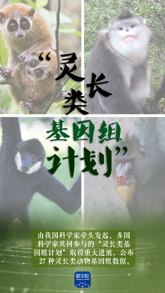 
江苏省中西医结合医院黄牛代挂号电话票贩子号贩子网上预约挂号,住院检查加快,恭喜中国科学家！2023新突破