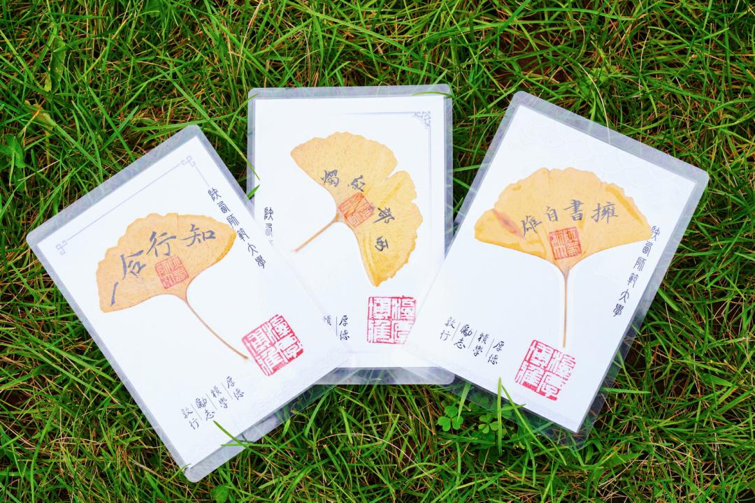 
北京西苑医院黄牛代挂号电话票贩子号贩子网上预约挂号,住院检查加快,已连续17年！他们一出手，全网羡慕了