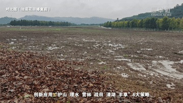 
南京眼科医院黄牛代挂号电话票贩子号贩子网上预约挂号,住院检查加快,望长江｜重庆：广阳岛的美丽蝶变