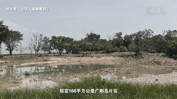 
南京眼科医院黄牛代挂号电话票贩子号贩子网上预约挂号,住院检查加快,望长江｜重庆：广阳岛的美丽蝶变