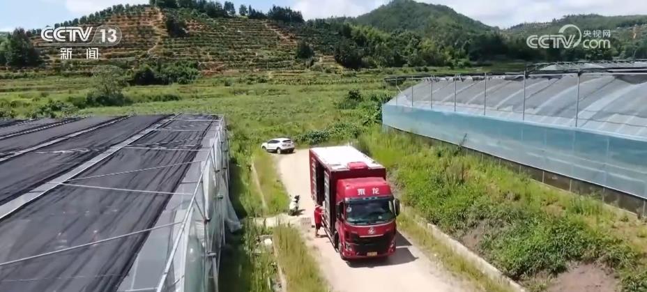 
中国中医科学院广安门医院黄牛代挂号电话票贩子号贩子网上预约挂号,住院检查加快,“农田直达餐桌”！冷藏保鲜设施县级覆盖率达70%以上