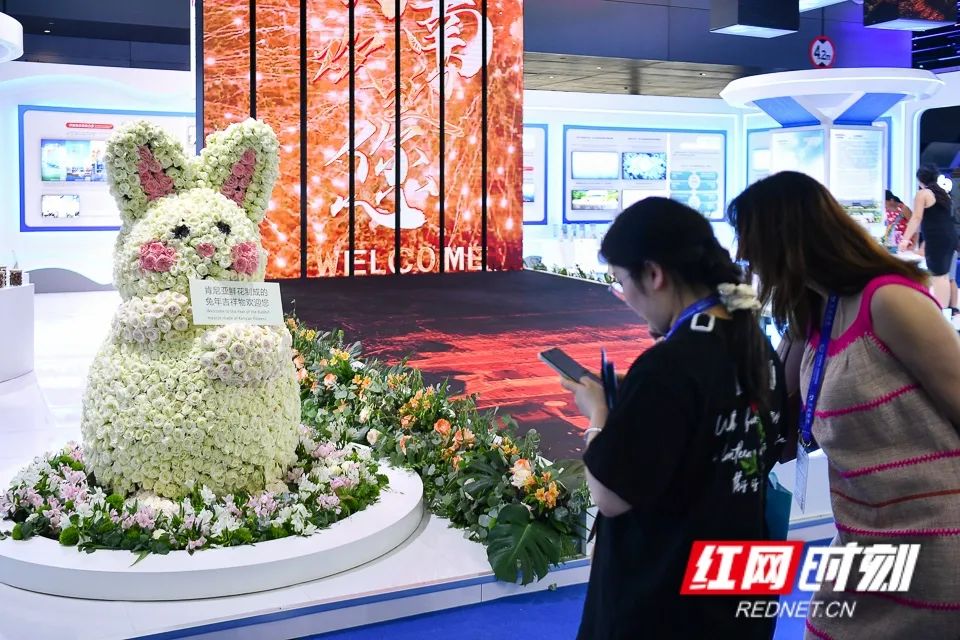 
杭州市儿童医院黄牛代挂号电话票贩子号贩子网上预约挂号,住院检查加快,刚刚！袁隆平墓前发生惊人一幕，外交部发言人都忍不住公布...