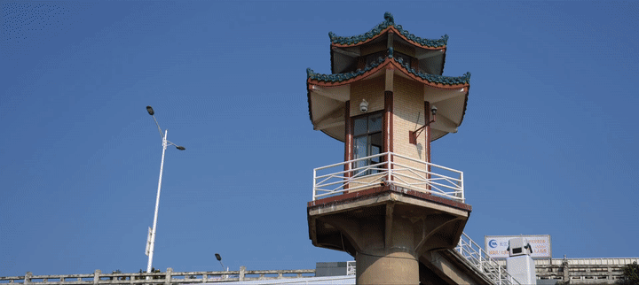 
代挂姜玉武的号黄牛代挂号电话票贩子号贩子网上预约挂号,住院检查加快,感知生态中国 | 江豚守护者