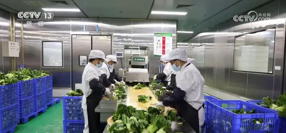 
中国中医科学院广安门医院黄牛代挂号电话票贩子号贩子网上预约挂号,住院检查加快,“农田直达餐桌”！冷藏保鲜设施县级覆盖率达70%以上