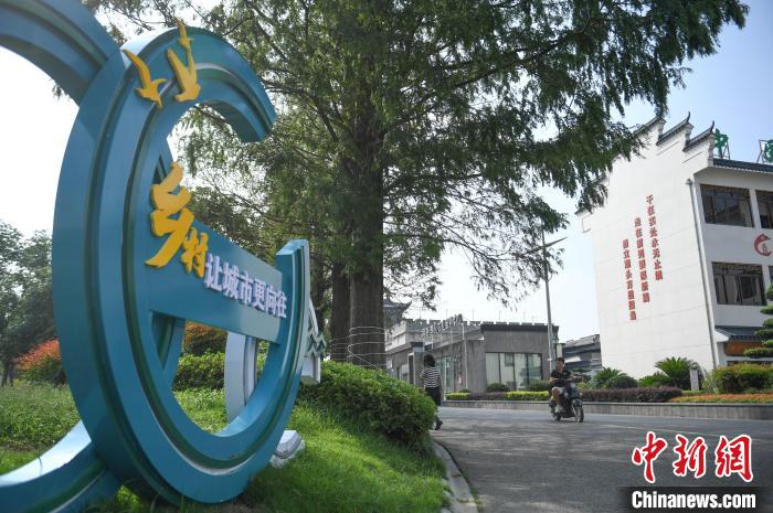 
江苏省肿瘤医院黄牛代挂号电话票贩子号贩子网上预约挂号,住院检查加快,乡村之美｜访“常青树”滕头村：乡村，让城市更向往