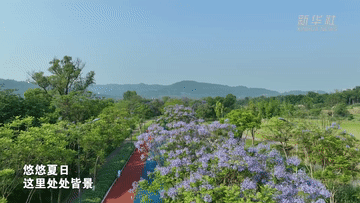 
南京眼科医院黄牛代挂号电话票贩子号贩子网上预约挂号,住院检查加快,望长江｜重庆：广阳岛的美丽蝶变