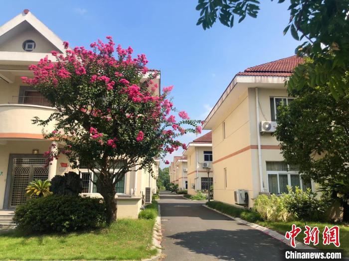 
江苏省肿瘤医院黄牛代挂号电话票贩子号贩子网上预约挂号,住院检查加快,乡村之美｜访“常青树”滕头村：乡村，让城市更向往