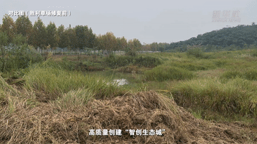 
南京眼科医院黄牛代挂号电话票贩子号贩子网上预约挂号,住院检查加快,望长江｜重庆：广阳岛的美丽蝶变