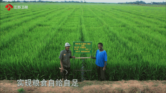 
杭州市儿童医院黄牛代挂号电话票贩子号贩子网上预约挂号,住院检查加快,刚刚！袁隆平墓前发生惊人一幕，外交部发言人都忍不住公布...