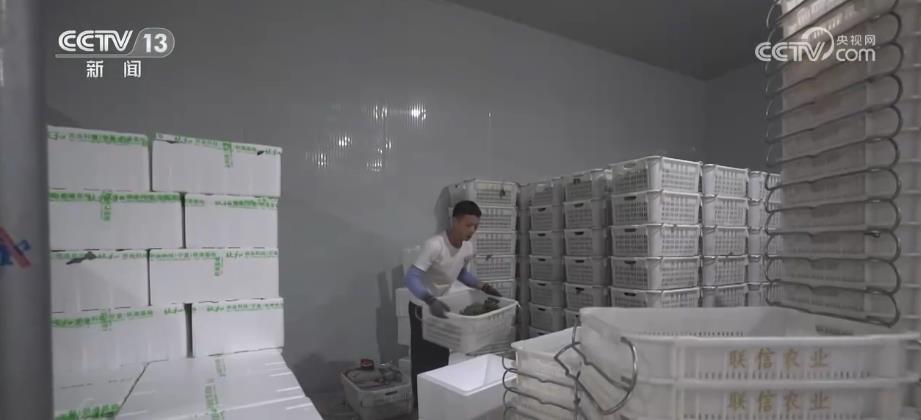 
中国中医科学院广安门医院黄牛代挂号电话票贩子号贩子网上预约挂号,住院检查加快,“农田直达餐桌”！冷藏保鲜设施县级覆盖率达70%以上